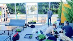 two men are tending to plants on the roof of a building while another man stands in the background