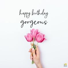 a person holding pink flowers with the words happy birthday gorgeous written on it's side