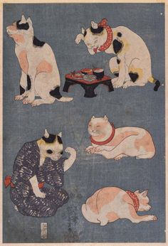 four cats and two dogs are sitting on the ground, one cat is eating food