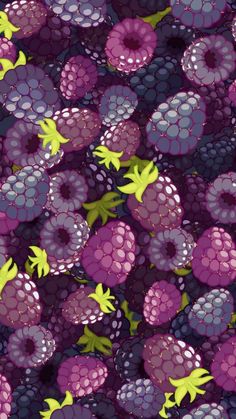 a bunch of raspberries and other fruits on a purple background with green leaves