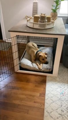 If you allow them to lie down in their crate all night, you will need to clean it. You can take the plastic mat and place it over the crate to absorb the dog's urine. Dog Cages Ideas Indoor Crates, Cute Dog Kennel Ideas Indoor, Dog Crate In Bedroom Ideas, Diy Dog Cage Indoor, Indoor Dog Kennel Ideas For Large Dogs, Bedroom With Dog Crate, Dog Cage Decoration Ideas, Puppy Corner Ideas