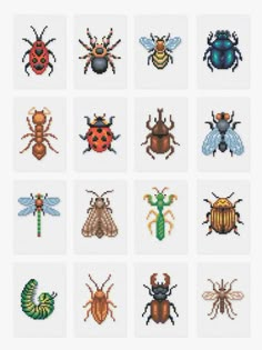 the cross stitch pattern shows six different types of bugs and insects, each with four different colors