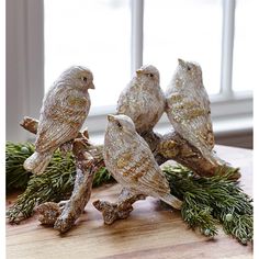 three little birds sitting on top of some green grass and pine needles in front of a window