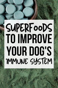 a sign that says superfoods to improve your dog's imuse system