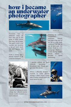 how I became an underwater photographer Marine Photography, Marine Science, Shark Diving, Florida Woman, Florida Photography, Underwater Photographer, Wildlife Photographer, Marine Biology, Oahu Hawaii