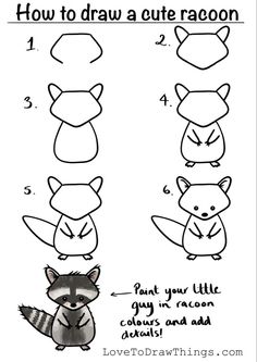 how to draw a cute raccoon step by step instructions for kids and adults