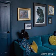 a cat sitting on top of a blue couch in a living room next to pictures