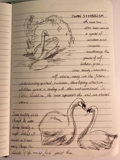 an open notebook with drawings of swans and other things in it on top of a table