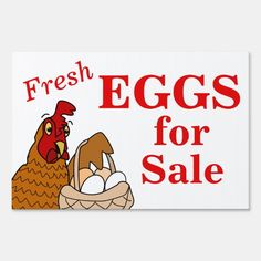 a sign that says fresh eggs for sale with an image of a chicken in a basket