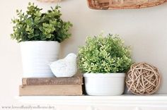 three potted plants sitting on top of a white shelf next to a bird figurine