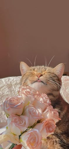 a cat laying on top of a bed with pink roses in it's mouth