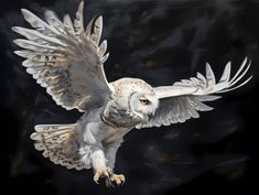 an owl flying through the air with its wings spread