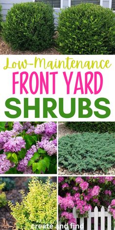 Collage of low-maintenance shrubs for the front of house. Front Yard Shrubs, Full Sun Landscaping, Spring Landscaping, Low Maintenance Landscaping Front Yard, Shrubs For Landscaping, Front Flower Beds, Porch Landscaping, Low Maintenance Shrubs, Flowering Bushes