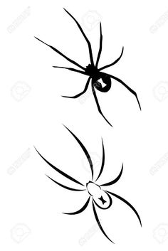 black and white drawing of a spider on a white background stock photo, images and royalty