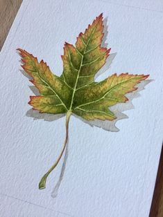 a watercolor painting of a leaf on paper