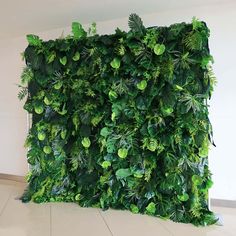 a green wall with plants and leaves on it in the middle of a white room