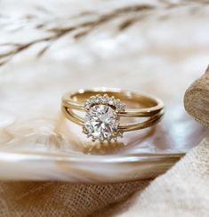 two wedding rings sitting on top of a white shell next to a feathery object