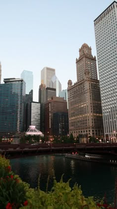 there are many tall buildings in the city by the water and flowers on the bank