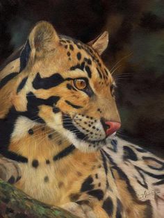 a painting of a leopard resting on a tree branch