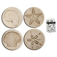 four seashells and starfish coasters on a white background