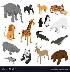 various types of wild animals on a white background - animals characters, objects & objects