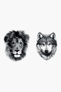 two different types of wolfs with their faces drawn in pencil and ink on paper