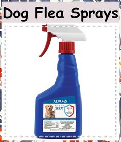 Adams Flea & Tick Spray For Dogs and Cats | Kills Fleas and Ticks Through Contact, Kills Flea Eggs, Flea Larvae, and Prevents Tick Spray For Dogs, Ticks, Active Ingredient, Best Dogs