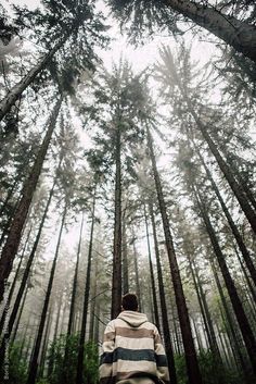 a man standing in the middle of a forest looking up into the sky with tall trees