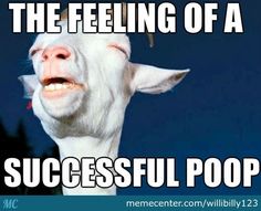 a goat with its mouth open and captioning the feeling of a successful poop