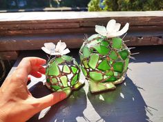 two green vases with white flowers on top of a wooden table next to a person's hand