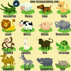 an animal chart with different animals and their names in spanish, english, and latin