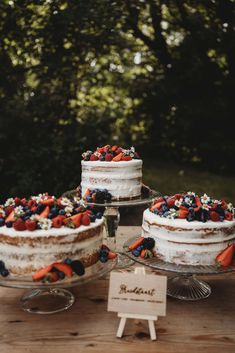 three cakes with berries and blueberries on them sitting on a table in front of trees