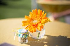 an orange flower sitting in a vase on top of a table next to a candy bar