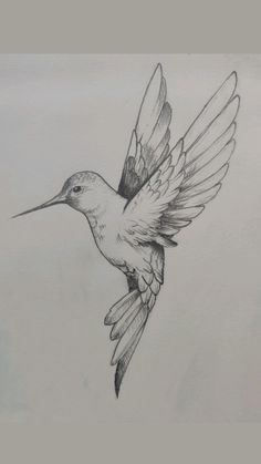 a drawing of a hummingbird flying in the sky