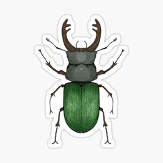 a green beetle with antlers on it's back sticker is sitting in front of a white background