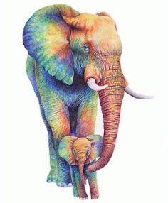 an elephant and its baby are painted in multicolored pastel colors on a white background