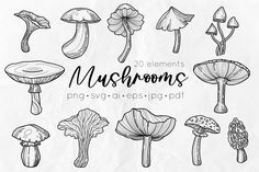 20 hand drawn mushrooms on white paper