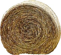 a roll of hay on a white background