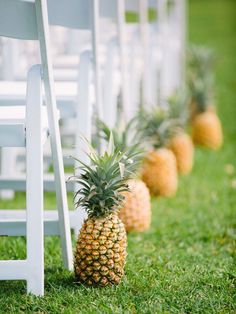 pineapples are lined up along the side of white chairs at a wedding ceremony