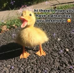 a duck that is sitting on the ground with its mouth open and tongue out, saying hey i love you