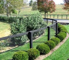 a black wire fence is in the middle of a grassy area