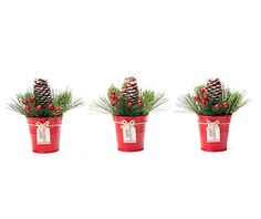 three small red pots with pine cones and berries in them, each decorated with a tag