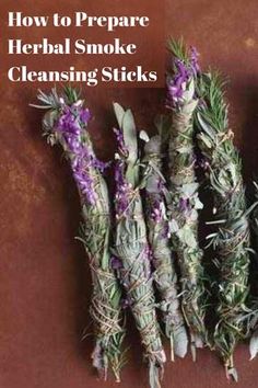 Enjoy collecting seasonal plants to make your own smoke cleansing sticks. Mexican Sage, Mother Earth Living, Magia Das Ervas, Magical Herbs, Aromatic Plant, Mother Earth News, Wild Harvest