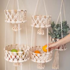 two hanging baskets with fruit in them on the wall next to a potted plant