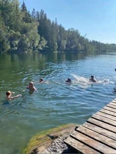 several people swimming in the water near a dock and some trees on the other side