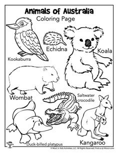 the animals of australia coloring page