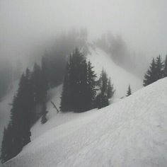 a snowboarder is going down a snowy hill with evergreen trees in the background