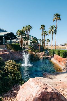 a small pond surrounded by rocks and palm trees