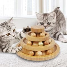 two kittens playing with wooden toys on the floor