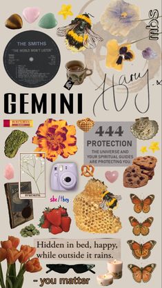 the back side of a poster with many different things on it, including flowers and butterflies